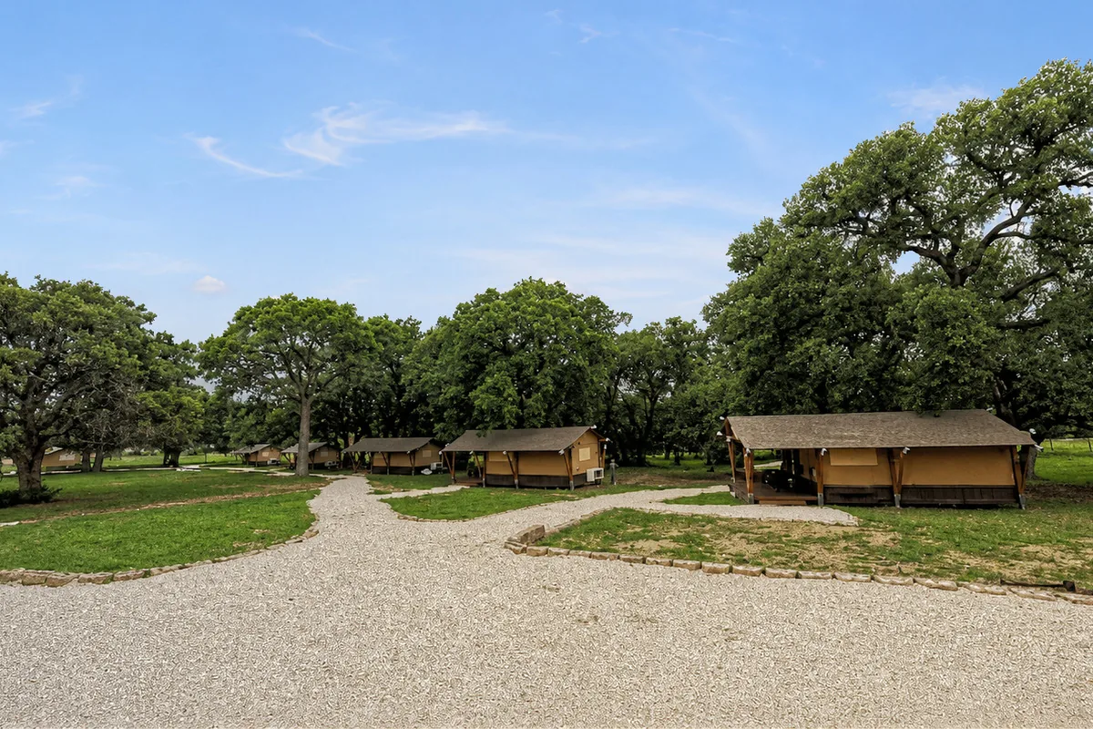 Glamping tents beneath the oaks at Twin Oaks Resort