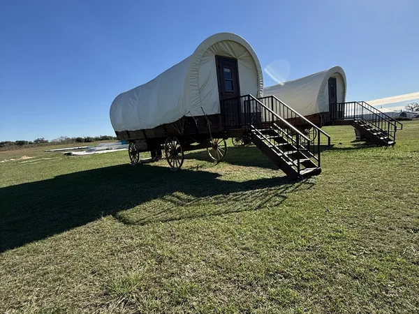 Conestoga wagons on the pasture