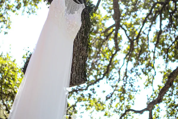 A quiet moment before the ceremony