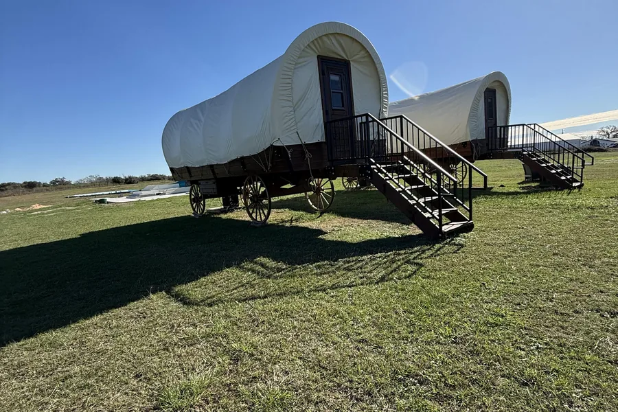 Conestoga wagons on the pasture