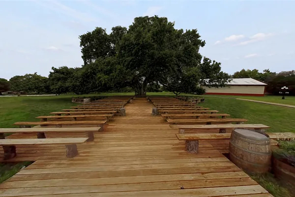 The ceremony aisle under the oak